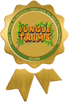 Best Tree Surgeon Service in Renfrewshire 2026 award badge